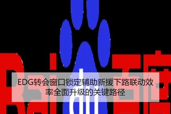 EDG转会窗口锁定辅助新援下路联动效率全面升级的关键路径